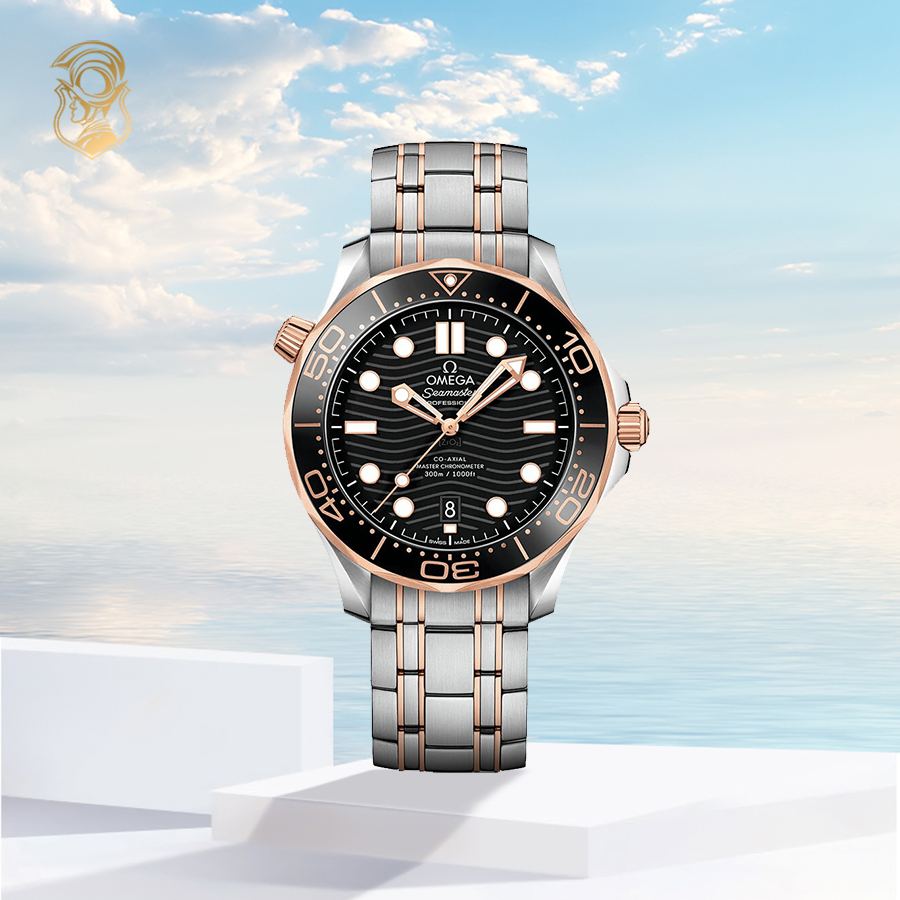 Omega Seamaster 210.20.42.20.01.001 Diver 300M Master 42